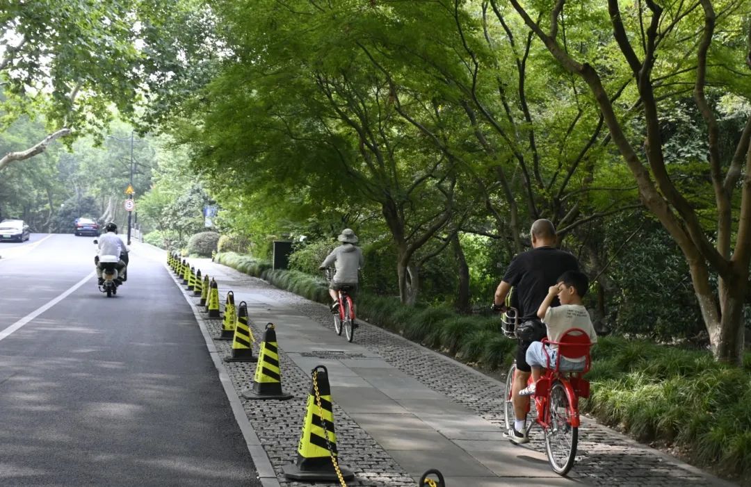 夏日骑士必修课：烈日下的铁马安全，这些细节必须注意！